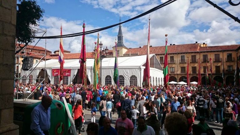 Jcarpas carpas para eventos (11)