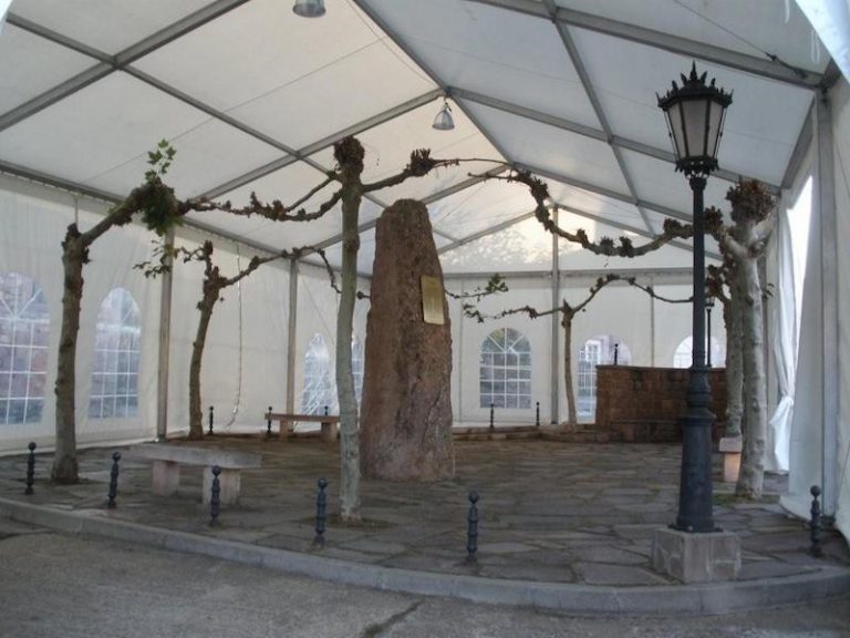 Jcarpas carpas para eventos (9)